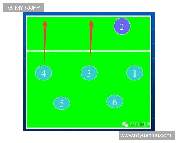 武汉排球队防反战术深度解析与实战应用探讨