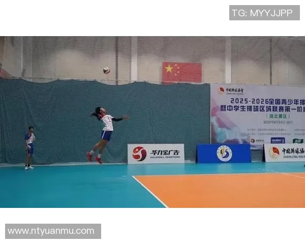 武汉排球队逆袭之旅的真实记录与奋斗精神的展现